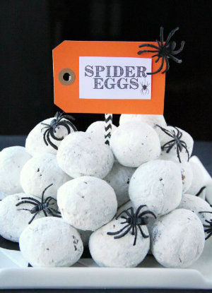 Spider eggs.jpg